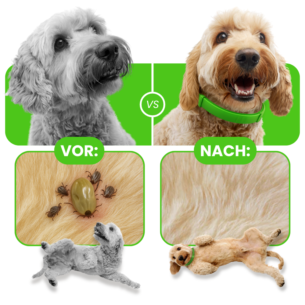 FurSure - 8 Monate Schutz gegen Flöhe und Zecken